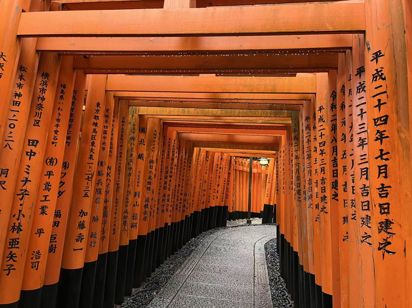 Japón Momiji y Sakura – Tokio, Fuji, Kioto, Osaka, 11 días